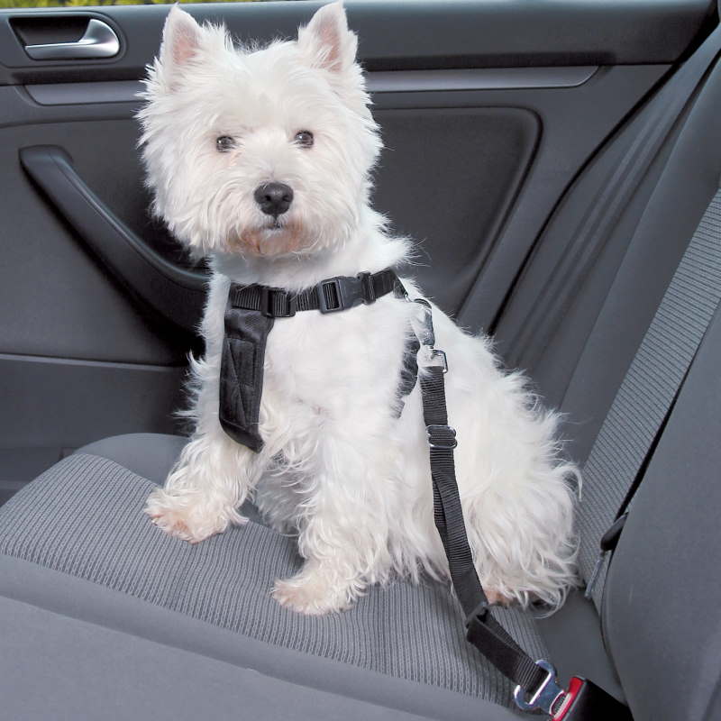 Trixie bil-sikkerhetssele til hund